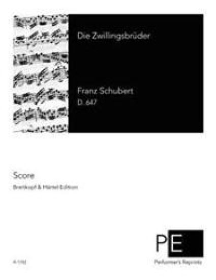 Die Zwillingsbrüder