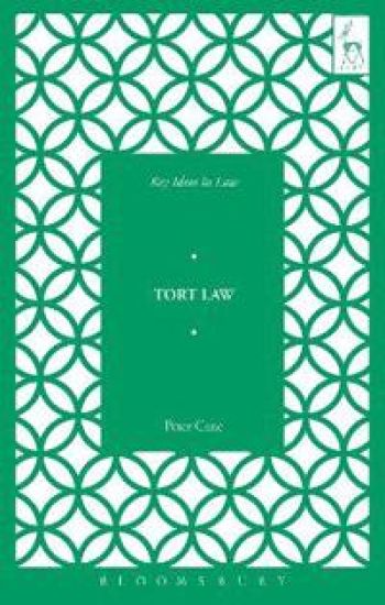 Key Ideas in Tort Law