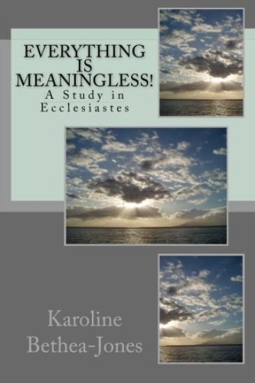 Everything Is Meaningless!: A Study in Ecclesiastes