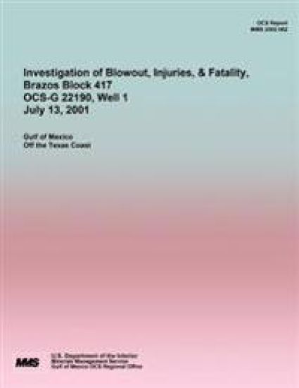 Investigation of Blowout, Injuries, & Fatality, Brazos Block 417 OCS-G 22190 July 13, 2001