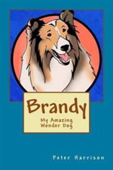 Brandy - My Amazing Wonder Dog