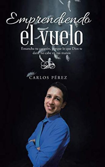 Emprendiendo el vuelo