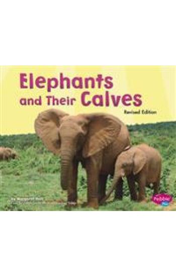 Elephants and Their Calves