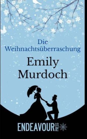 Die Weihnachtsüberraschung