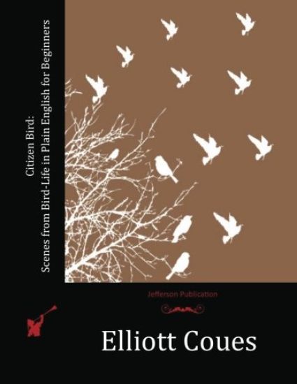 Citizen Bird: Scenes from Bird-Life in Plain English for Beginners