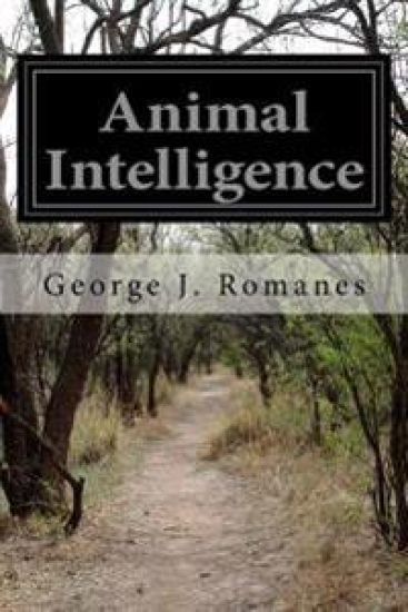 Animal Intelligence