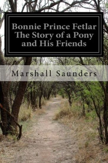 Bonnie Prince Fetlar The Story of a Pony and His Friends