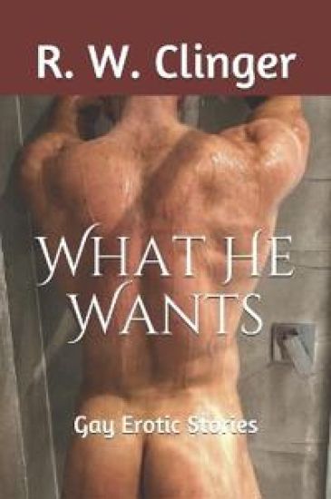 What He Wants: Gay Erotic Stories