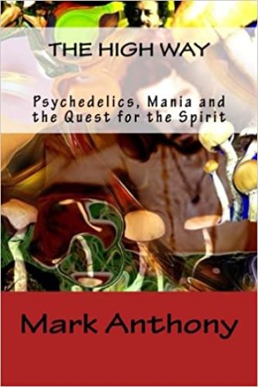 The High Way: Psychedelics, Mania and the Quest for the Spirit