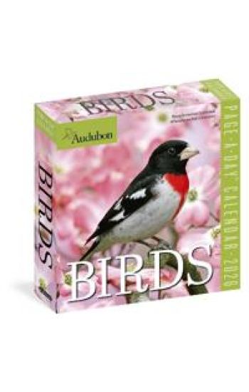 Audubon Birds Page-A-Day® Calendar 2026