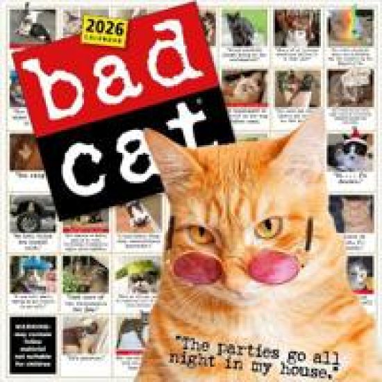 Bad Cat Wall Calendar 2026