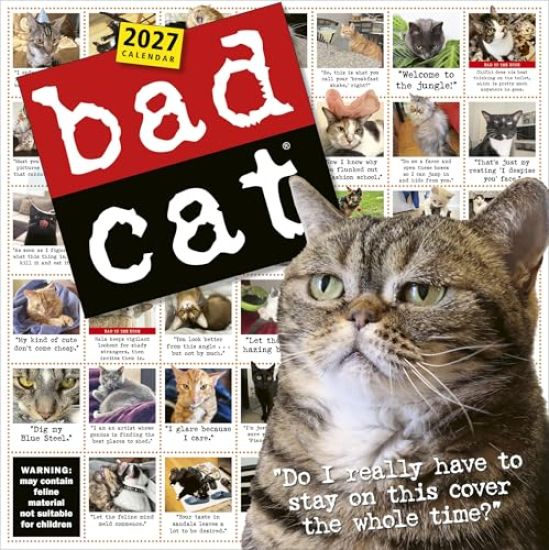 Bad Cat Wall Calendar 2027