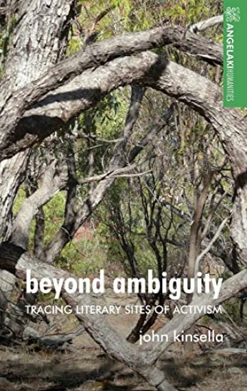 Beyond Ambiguity