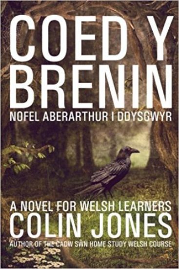 Coed y Brenin: A novel for Welsh learners