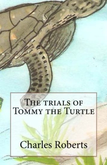The trials of Tommy the Turtle