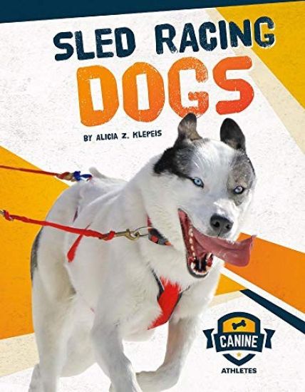 Sled Racing Dogs