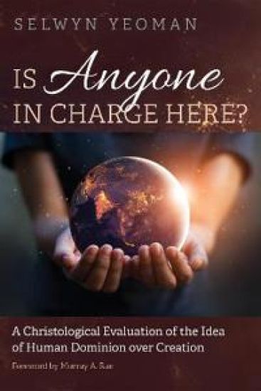 Is Anyone in Charge Here? – Selwyn Yeoman, kirjan kansikuva