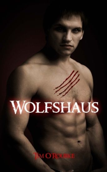 Wolfshaus: Buch Fünf der ersten Staffel der Kiera Hudson-Reihe