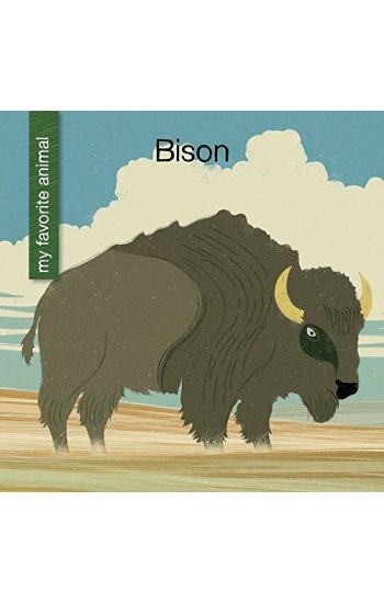 Bison