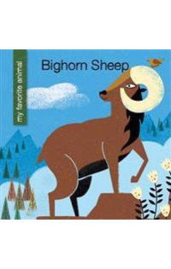 Bighorn Sheep