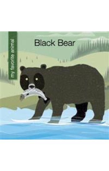 Black Bear