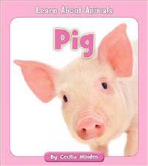 Pig