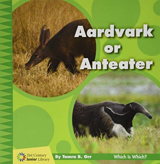 Aardvark or Anteater