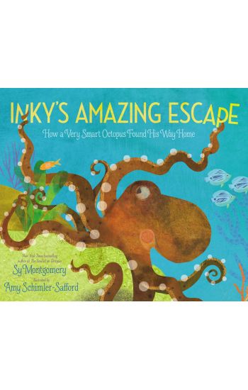 Inky's Amazing Escape: How a Very Smart Octopus Found His Way Home