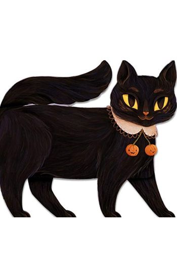 One Black Cat