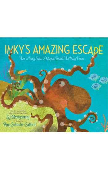Inky's Amazing Escape