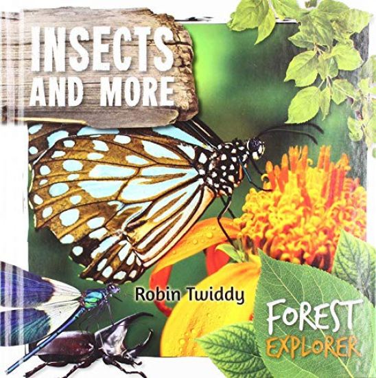 Insects and More