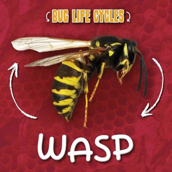 Wasp