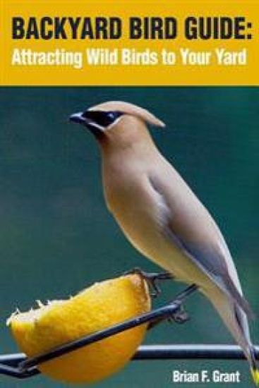 Backyard Bird Guide: Attracting Wild Birds to Your Yard