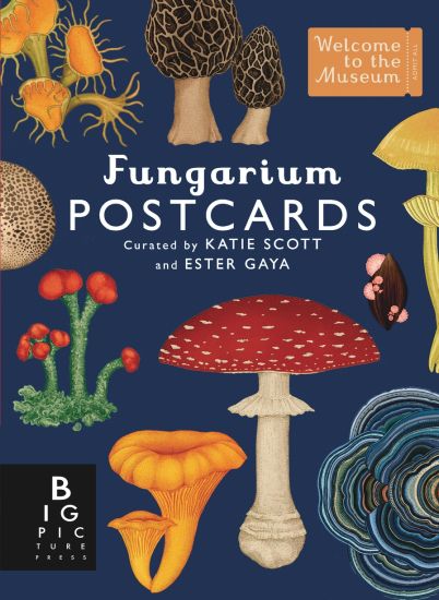 Fungarium Postcard Box Set – Ester Gaya, kirjan kansikuva