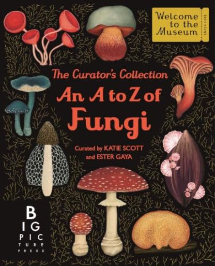 The Curator's Collection: An A to Z of Fungi – Ester Gaya, kirjan kansikuva