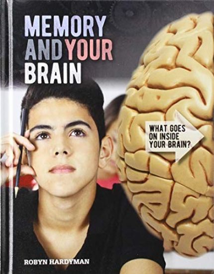 Memory and Your Brain
