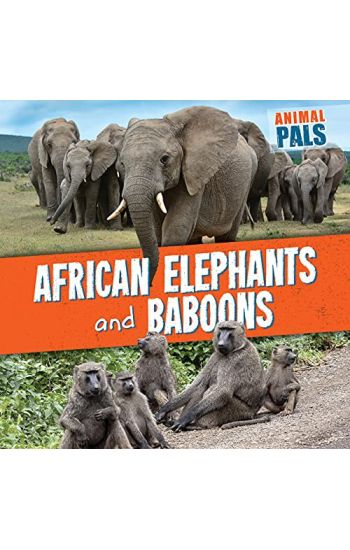 African Elephants and Baboons