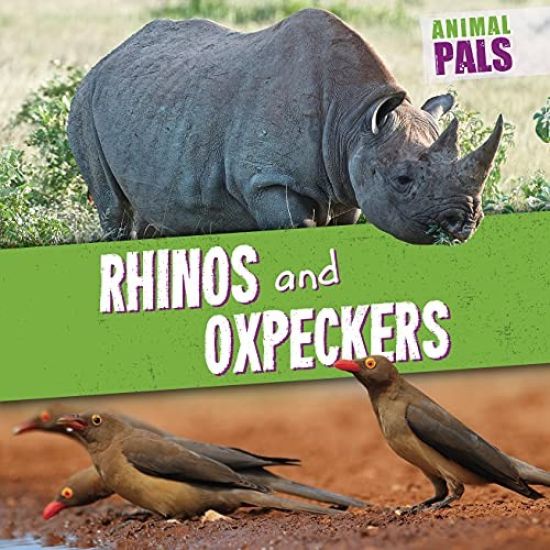 Rhinos and Oxpeckers