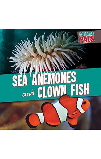 Sea Anemones and Clown Fish