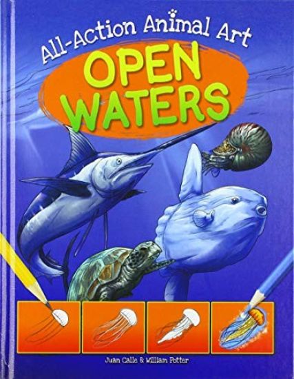 Open Waters