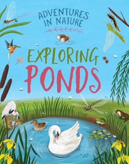 Exploring Ponds