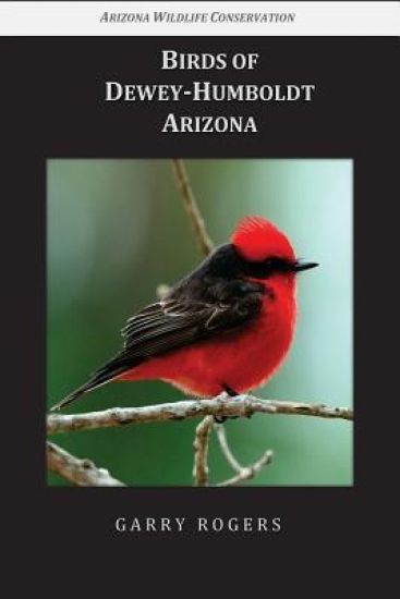 Birds of Dewey-Humboldt, Arizona