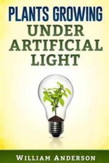 Plants Growing under Artificial Light