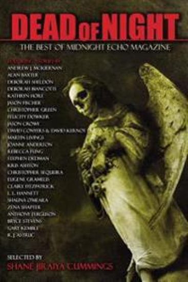 Dead of Night: The Best of Midnight Echo