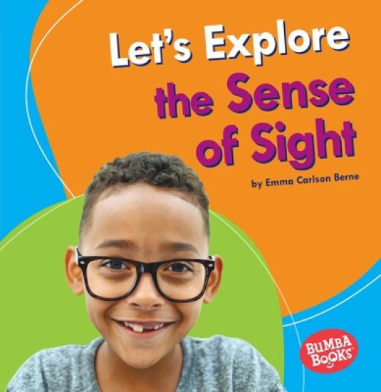 Let's Explore the Sense of Sight