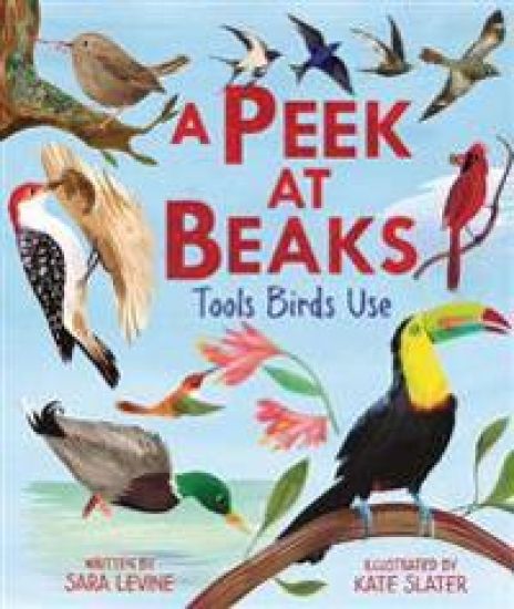 A Peek at Beaks