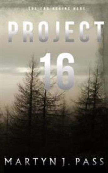 Project 16