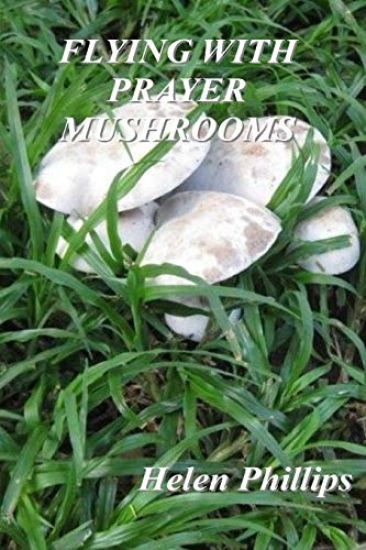 Flying With Prayer Mushrooms: God's call to Prayer