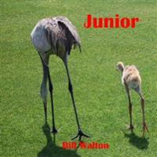 Junior