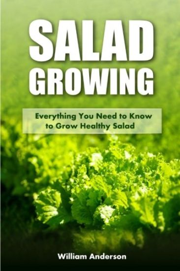 Salad Growing: Everything You Need to Know to Grow Healthy Salad